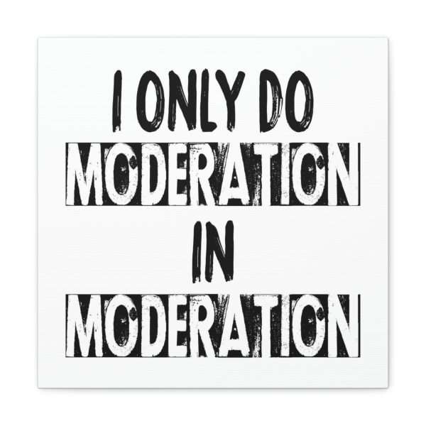 Funny Canvas Art Print Gallery Wrap - I Only Do Moderation in Moderation - Image 43