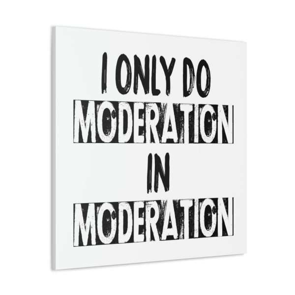 Funny Canvas Art Print Gallery Wrap - I Only Do Moderation in Moderation - Image 23