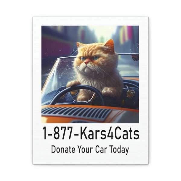 Funny Gallery Canvas Print Wrap - 1-877-Kars4Cats Donate Your Car Today - Image 22