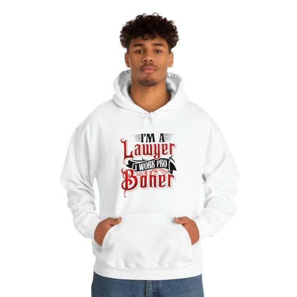 Funny Unisex Heavy Blend Hoodie Sweatshirt - I'm a Lawyer I Work Pro Boner - Image 4