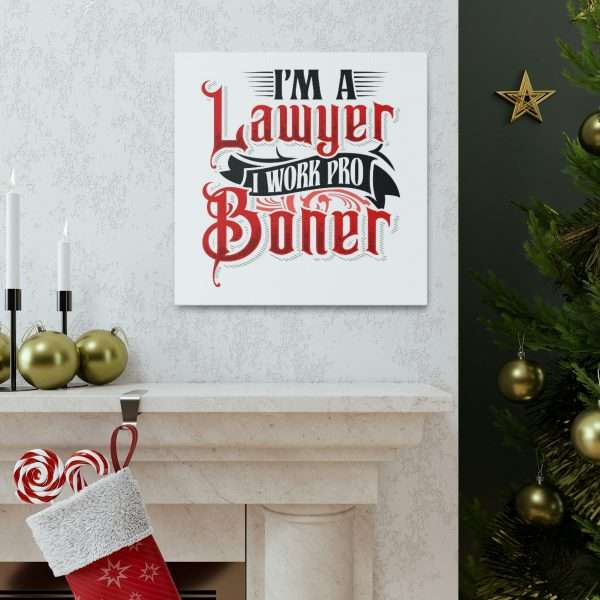 Funny Canvas Art Print Gallery Wrap - I'm a Lawyer I Work Pro Boner - Image 48