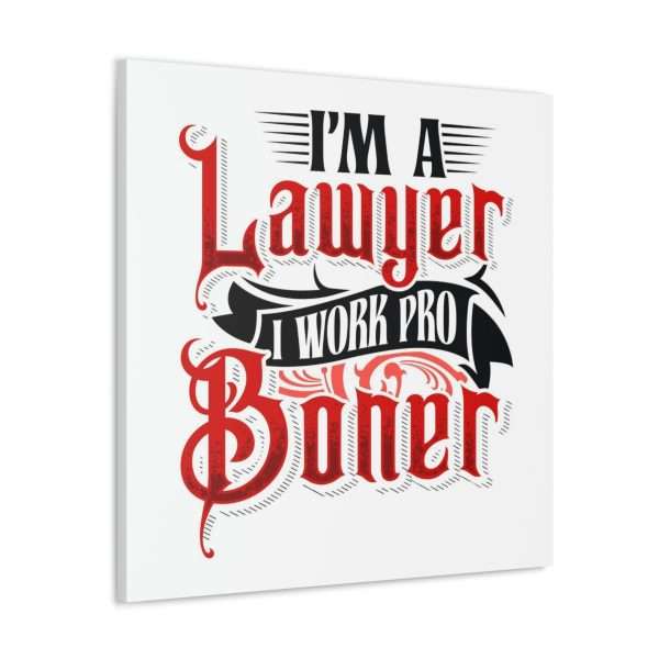 Funny Canvas Art Print Gallery Wrap - I'm a Lawyer I Work Pro Boner - Image 23