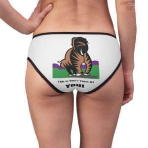 Funny Women’s Panties Briefs - This Is What I Think Of You