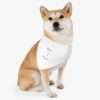 Show Me the Meats Pet Bandana Collar