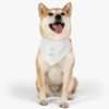 Show Me the Meats Pet Bandana Collar - Image 7
